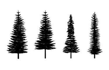 Vector Pine tree in silhouette style. Ideal for decorating Christmas banner template and coniferous forest scene background.
