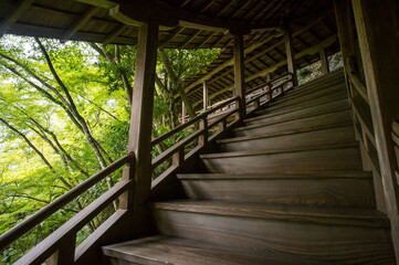京都 永観堂の芸術的な螺旋階段と美しい新緑