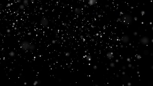 Snow Falling In Slow Motion Against Black Backdrop - 4K Resolution