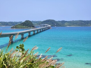 Fototapeta premium 海にかかる橋