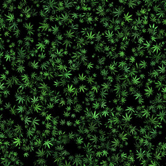 Marijuana leaves pattern effect texture