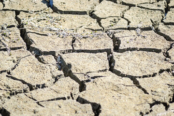 Dry parched land. A view of dry parched land in a parched riverbed.