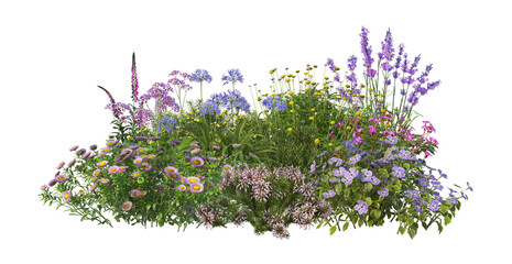 Colorful flower garden on a white background