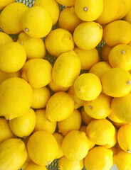 Many Ripe Yellow Lemons Background.