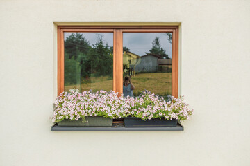 Beautiful style window and flower box with light summer flowers in Poland