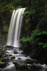 waterfall in the forest