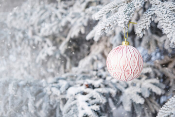 Christmas pink ball hangs on snow-covered spruce branch in the forest. Selective focus. Fairytale mood. Concept of Christmas and New Year holidays.Winter nature background.