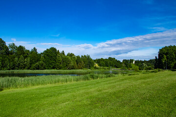Fototapeta na wymiar A beautiful summer landscape background with green grass, forest, river and copy space in the blue sky