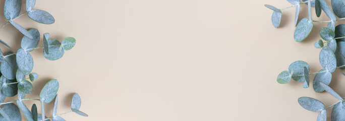 banner with eucaliptus leaves on colored background. Copy space. Blue-Green leaves on branch for abstract natutal backdrop