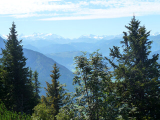 Eine grüne Berglandschaft in Tirol.