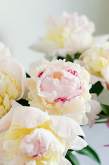 Obraz na płótnie Canvas Beautiful fresh cut bouquet of white peonies.