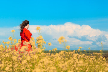 Fototapeta na wymiar A Woman In A Bright Red Dress Walks In The Middle Of A Blooming Yellow Field On A Clear Summer Day