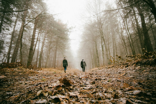 Rear View Of Men Walking In Forest