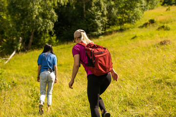 Naklejka premium Group of friends hiking in nature in the mountains