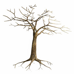 The remains of a large tree without leaves, full of branches. autumn tree on a white background with clipping path. 3D Rendering