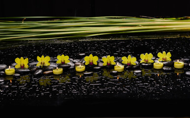 Still life of with 
Yellow orchid  and candle with zen black stones on wet background,

