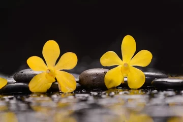 Foto auf Acrylglas Still life of with  Two yellow orchid  with zen black stones on wet background,  © Mee Ting