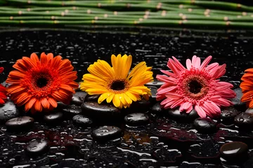 Foto op Canvas Still life of with  Four flower ,with bamboo stem  and zen black stones on wet background  © Mee Ting