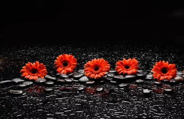 Deurstickers Still life of with  Red gerbera,flower , and zen black stones on wet background  © Mee Ting
