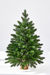 Christmas tree on a white background without decorations
