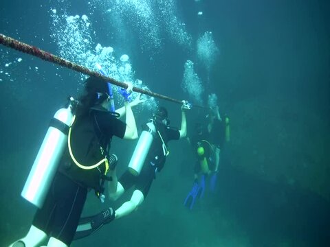Divers going down a line