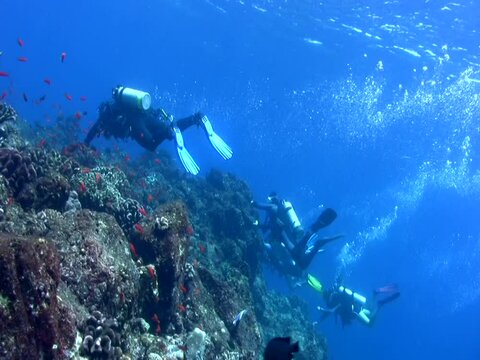 Divers holding on with ripping current