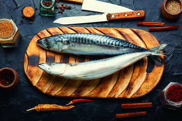 Fresh, raw scomber fish