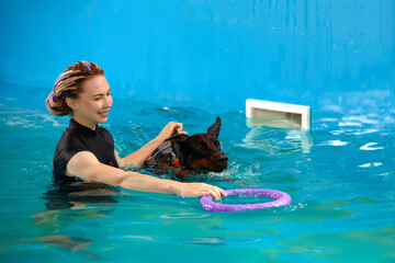 Dog in life jacket swim in the swimming pool with coach. Pet rehabilitation. Recovery training...