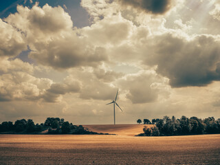 Une éolienne à l'horizon dans un champ de blé à la campagne avec un ciel chaud nuageux
