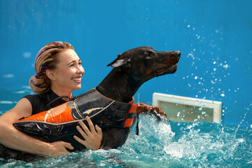 Dog in life jacket swim in the swimming pool with coach. Pet rehabilitation. Recovery training prevention for hydrotherapy. Pet health care