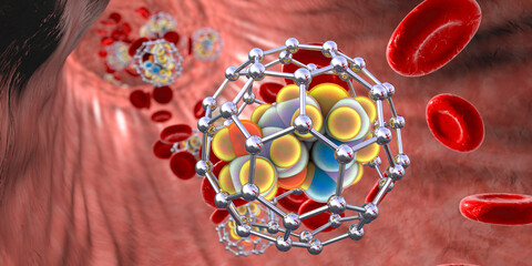 Fullerene nanoparticles in blood