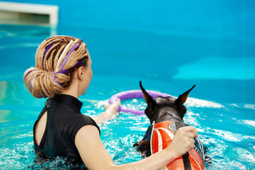 Dog in life jacket swim in the swimming pool with coach. Pet rehabilitation. Recovery training...
