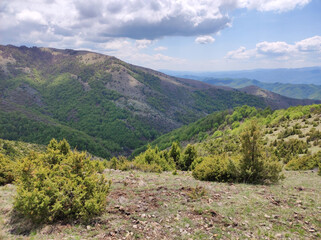 spring in the Kopaonik national park in Serbia