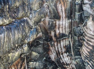 wooden pattern