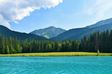 Meadow at the shore of Weissensee lake in Carinthia, Austria and the peak of Spitzegel mountain in Gailtal Alps