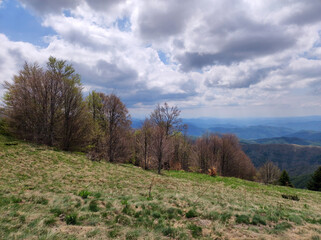 spring in the Kopaonik national park in Serbia