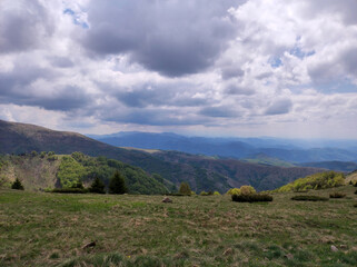 Fototapeta premium spring in the Kopaonik national park in Serbia