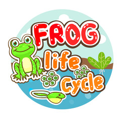 The Frog&rsquo;s life cycle vector.