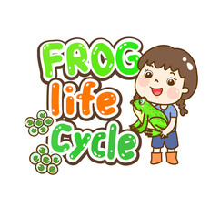 Fototapeta premium The Frog’s life cycle vector.