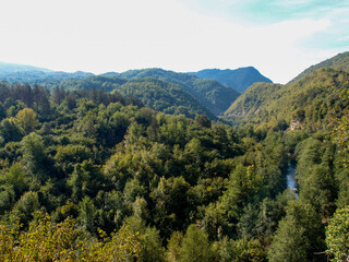 Scenic mountain landscape, view of the mountain river canyon with the forest, green trees, mountains, and blue sky