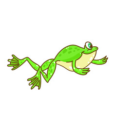 Fototapeta premium The Frog’s life cycle vector.