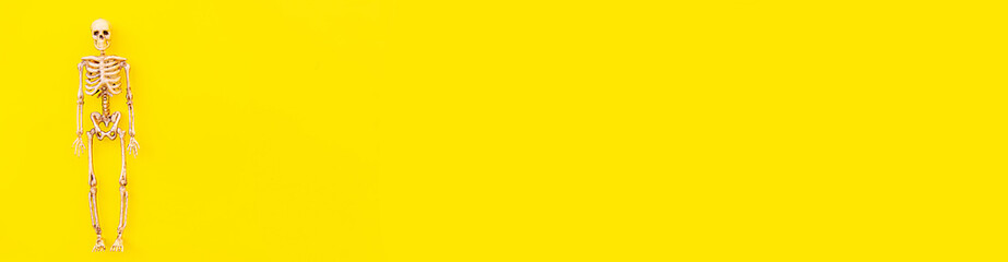 Halloween minimal decorations, composition with spooky skeleton monster isolated on yellow background. Halloween celebration trick or treat concept. Flat lay top view copy space banner