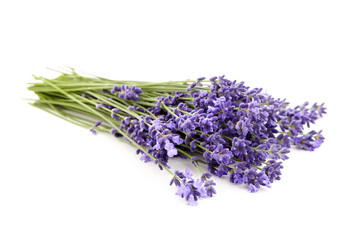 Fresh lavender flowers bouquet isolated on white