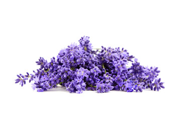 Lavender flowers isolated on white background