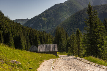 Hut in Chocholowka Valley in tatra National Park mountains in Poland near Zakopane © marcin jucha
