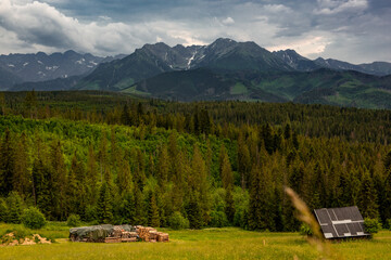 Tatra Mountains range in Poland. Alpine landscape and meadows