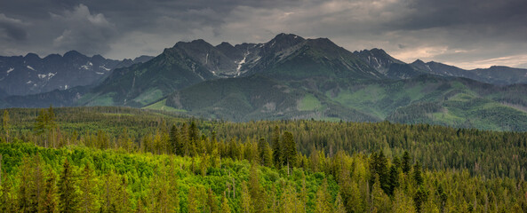 Wide panorama of Tatra mountains range in poland at summer © marcin jucha