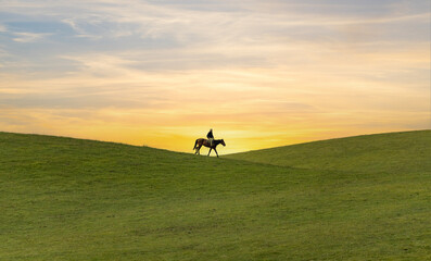Obraz na płótnie Canvas person riding a horse on grassland in sunset