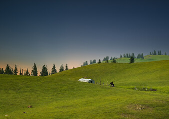 Fototapety na wymiar - Fototapeta24.pl