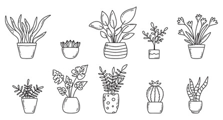 Set of indoor plants in doodle style. Houseplants. Vector illustration. Home flowers in pots. © Евгения Крупель